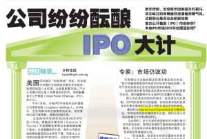 Newspaper contribution: How to investing in winning ipo